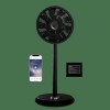Вентилятор Duux Whisper Flex Smart DXCF12  (чёрный)